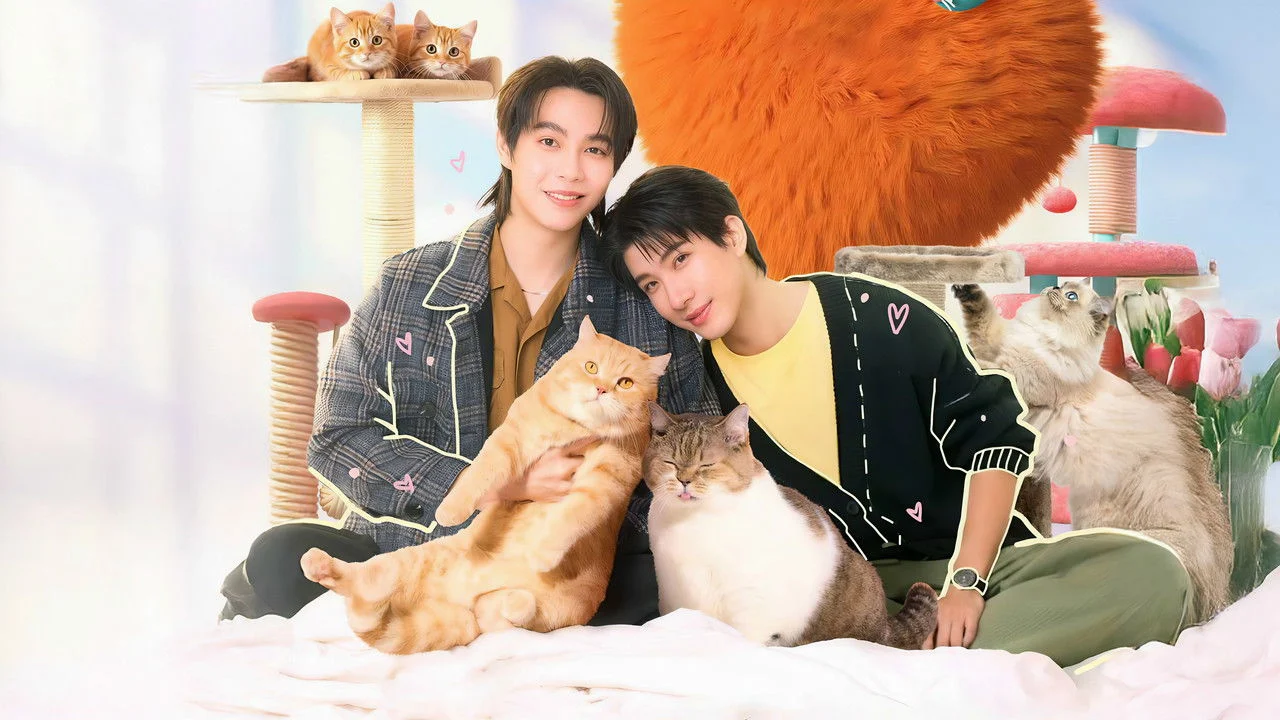Cat for Cash - Backdrop