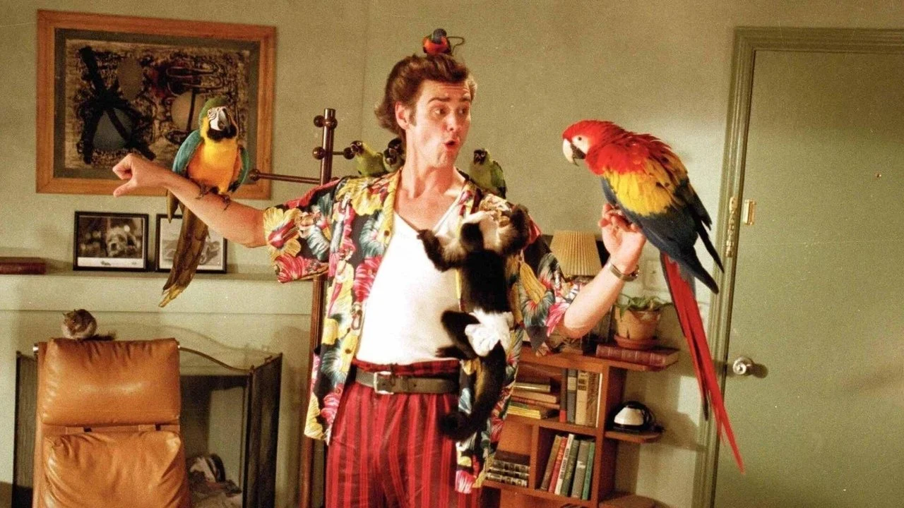 Ace Ventura: Detective de Mascotas - Backdrop
