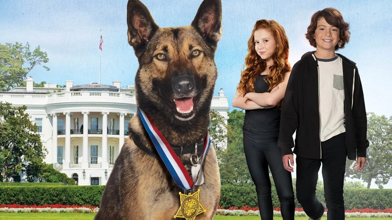 Max 2: Héroe de la Casa Blanca - Backdrop