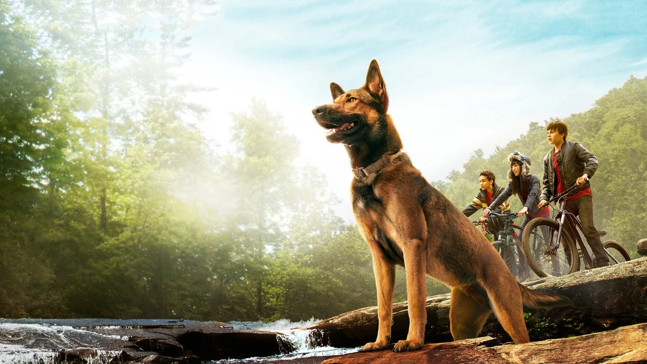 Max: Mi Héroe y Amigo - Backdrop