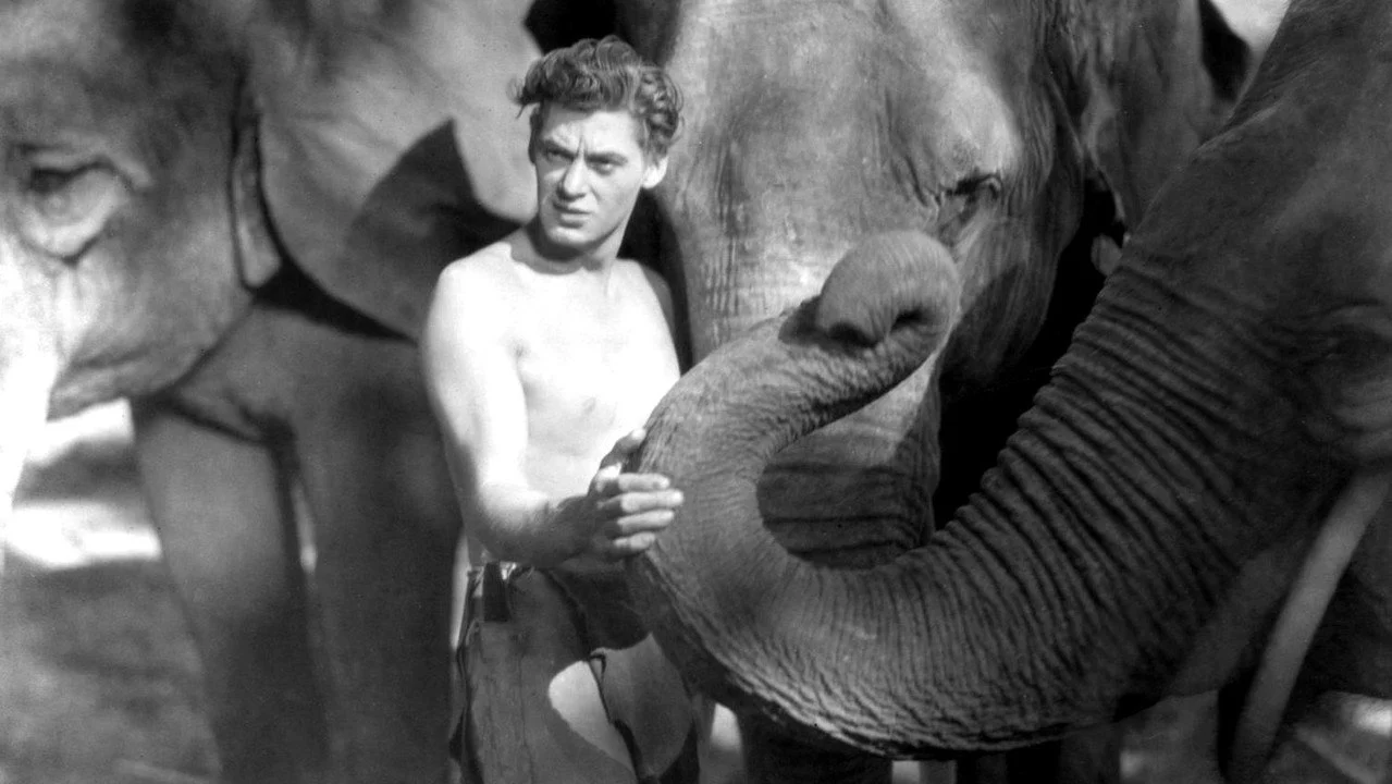 Tarzan, el Hombre Mono - Backdrop
