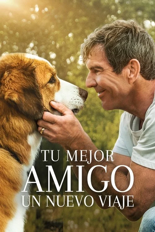 La Razón de Estar Contigo 2: Un Nuevo Viaje