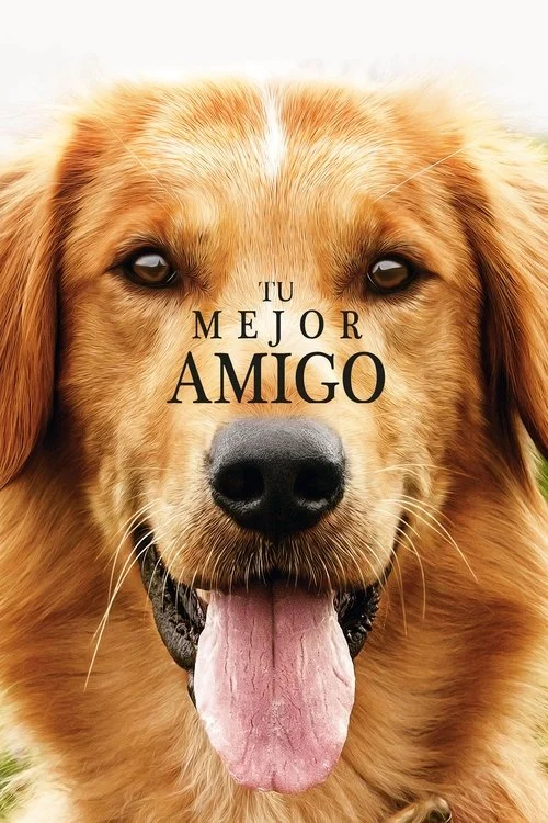 La Razón de Estar Contigo